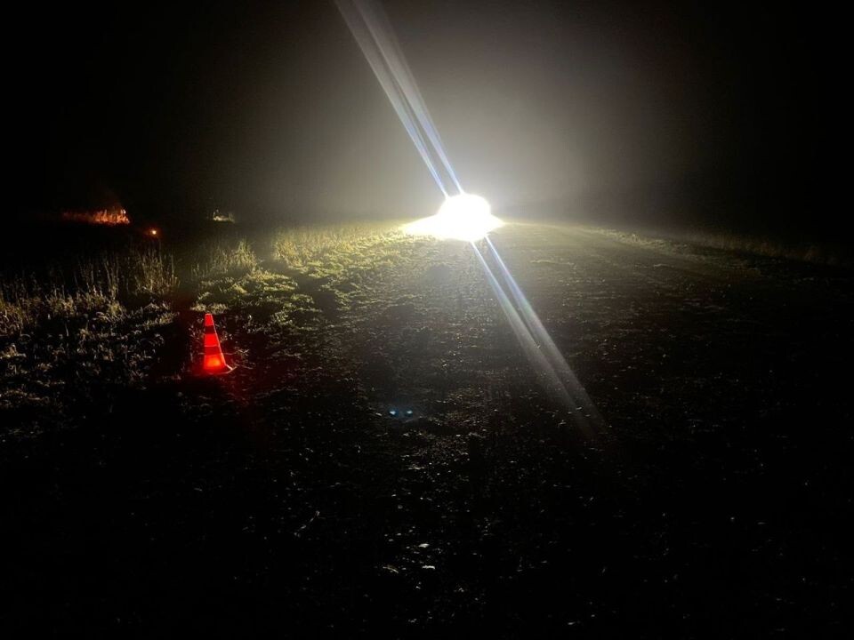    ДТП в Новосибирской области . Источник: Госавтоинспекция Новосибирской области