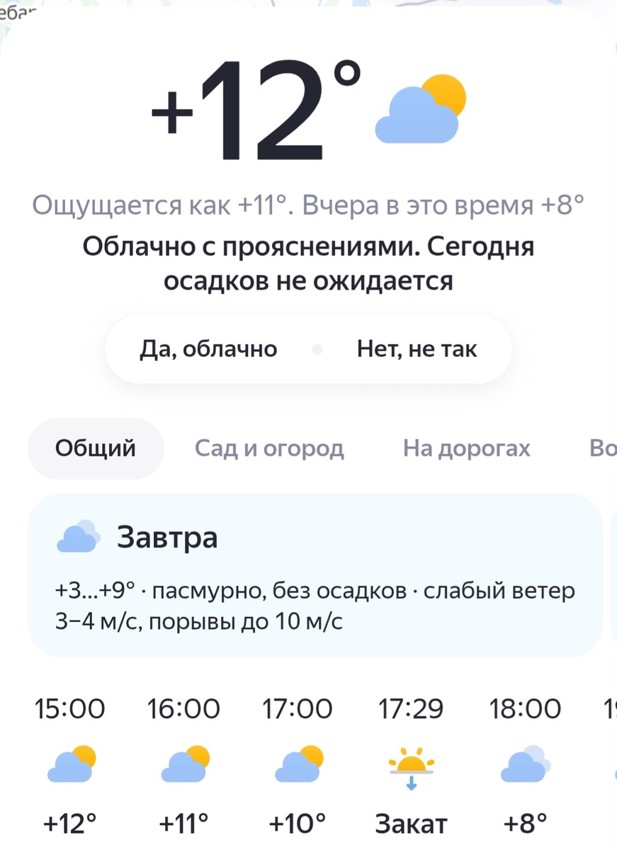 Осень пока у нас тёплая. Скрин прогноза погоды