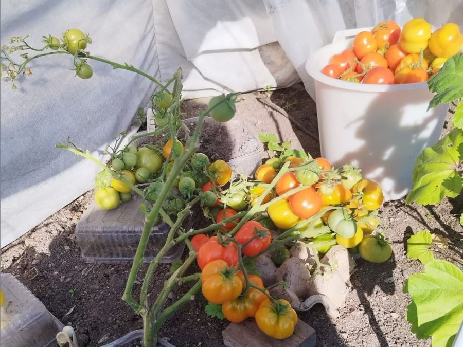 Фото из личного архива Татьяны Старенченко