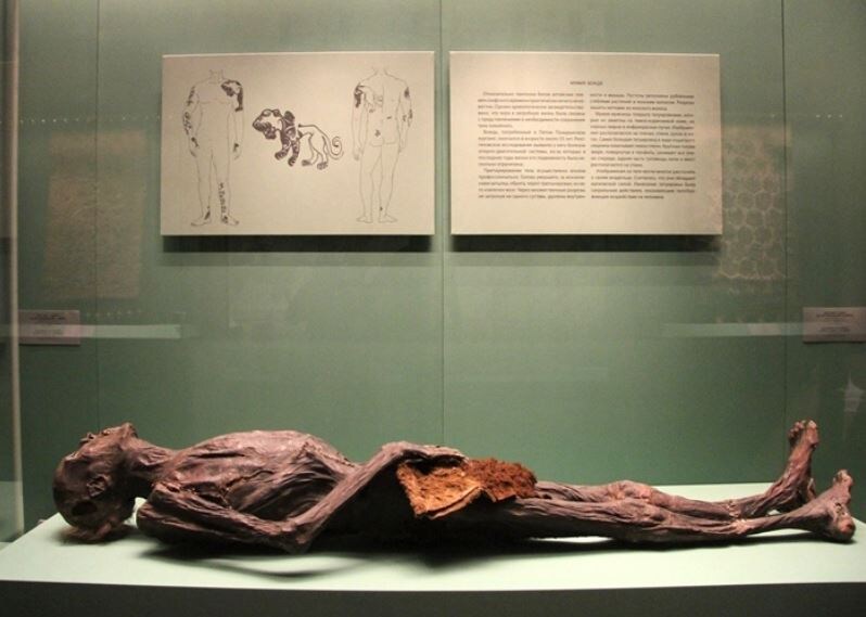 Мумия вождя из пятого пазырыкского кургана. Фото: Your Vision.