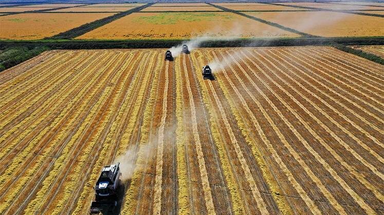    ДМИТРИЙ ФЕОКТИСТОВ/ТАСС