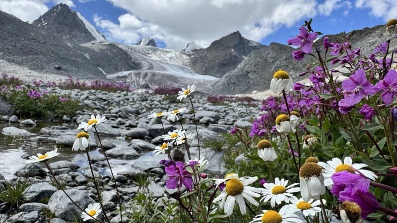     Морозные цветы на Алтае Марина Хамутова