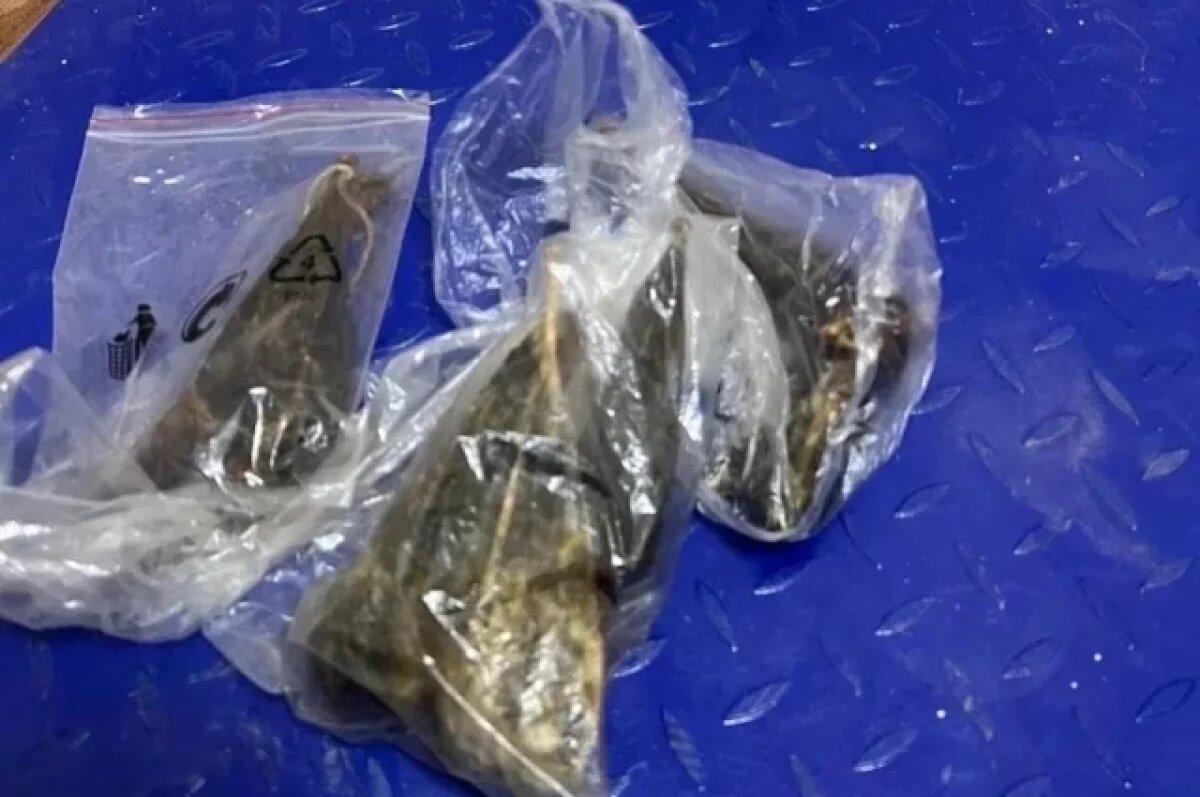    В Приморском крае задержали водителя с желчными пузырями медведей