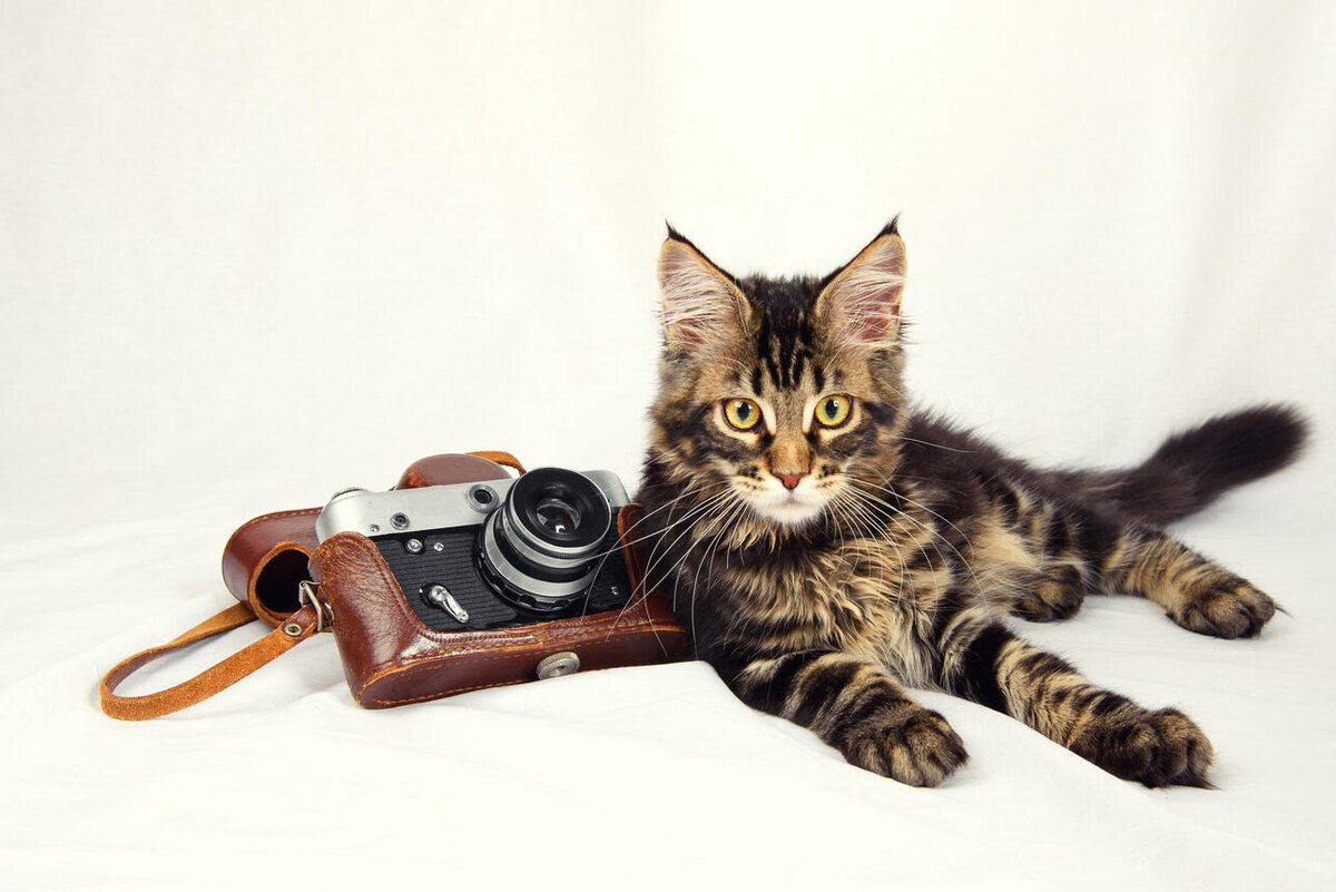     123RF/legion-media.ru