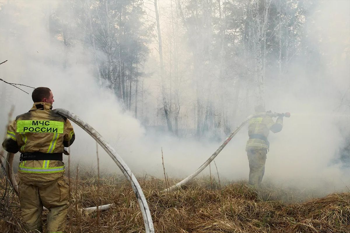    Фото: Евгений Кузьмин, источник: РИА Новости