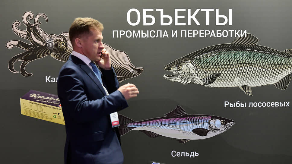 Около 75% российского производства аквакультуры обеспечивают три основных региона: Дальний Восток, Северо-Запад и Южный федеральный округ.📷Фото: Александр Коряков / Коммерсантъ