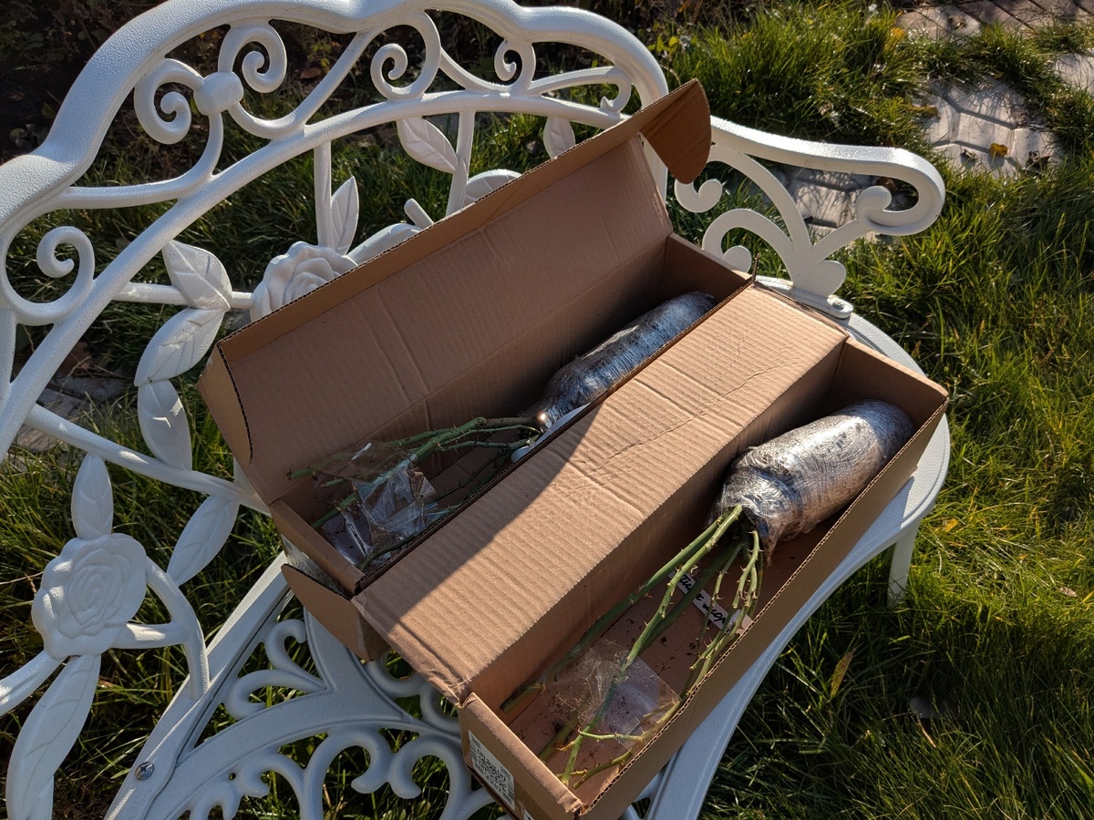 Качество саженцев нормальное, но, по всей видимости, это - подмена сорта и обман потребителя