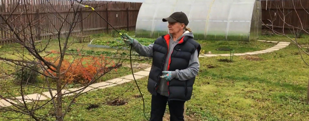 Что лучше подойдет для осеннего опрыскивания деревьев и кустарников?