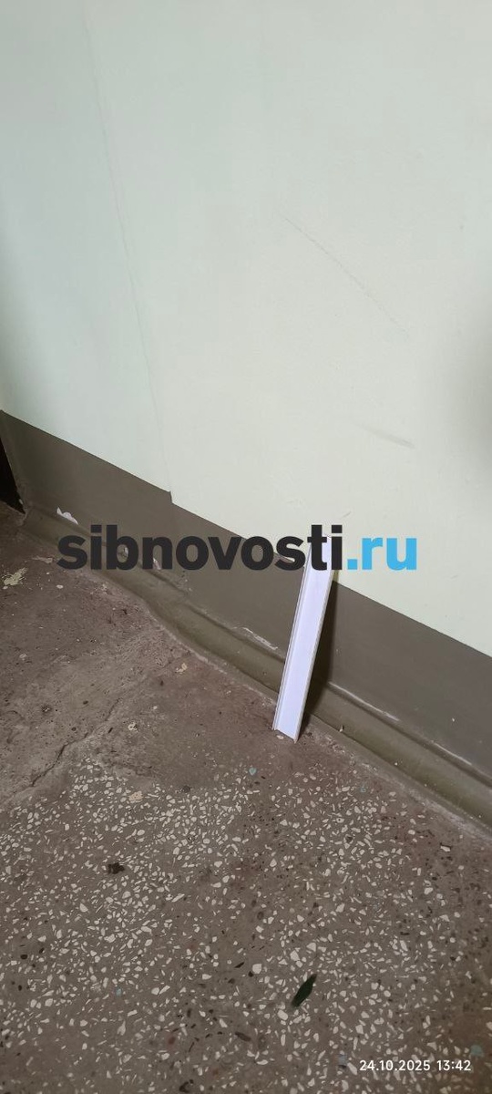    Фото: sibnovosti.ru