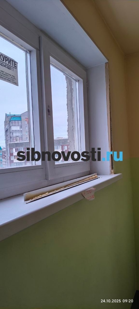    Фото: sibnovosti.ru