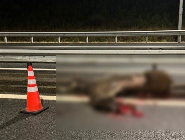    ФОТО: ГУ МВД по Самарской области