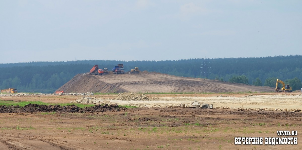     Фото: Владислав Постников / Вечерние ведомости