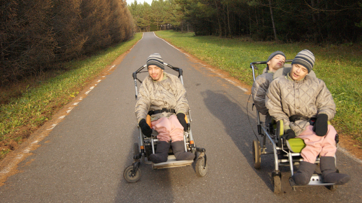 Самое лучшее место для прогулки. Запах  сосен и красота . 