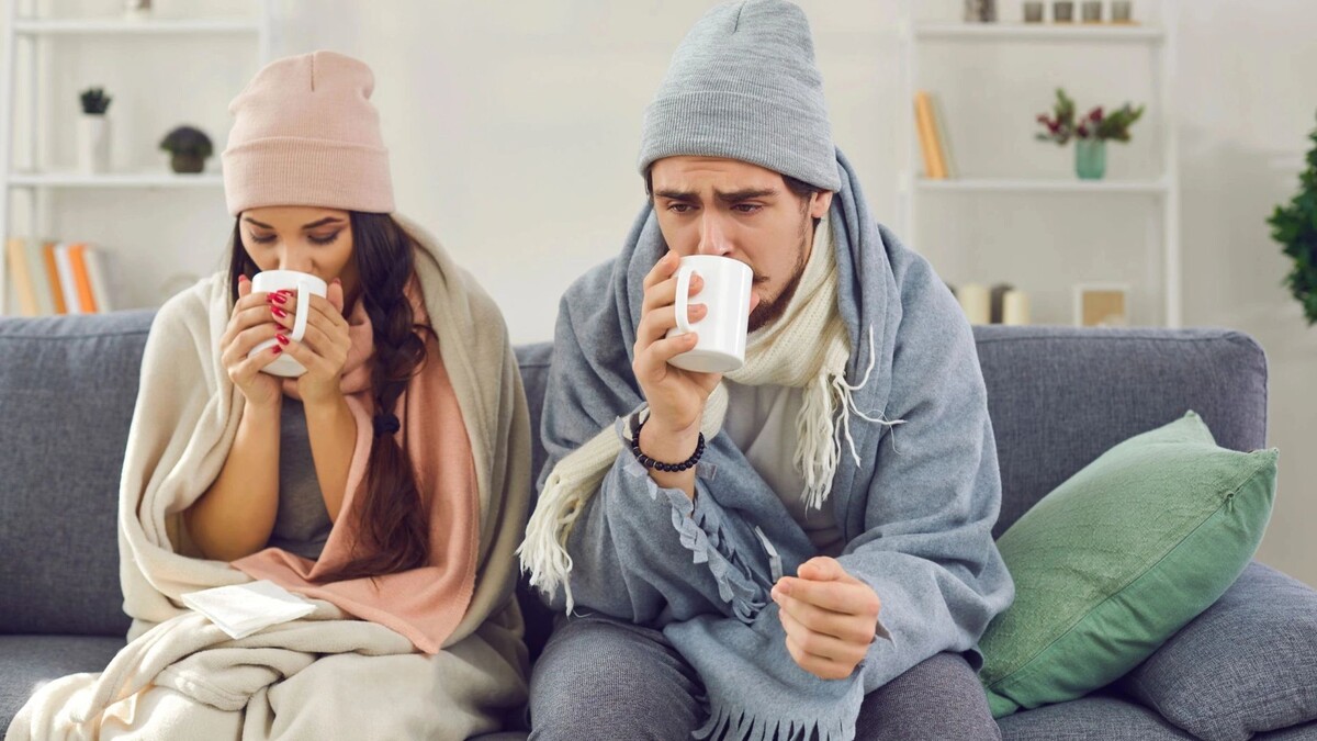    Фото: Studio Romantic/Shutterstock/Fotodom