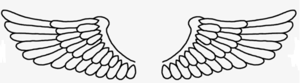 Открытые источники.