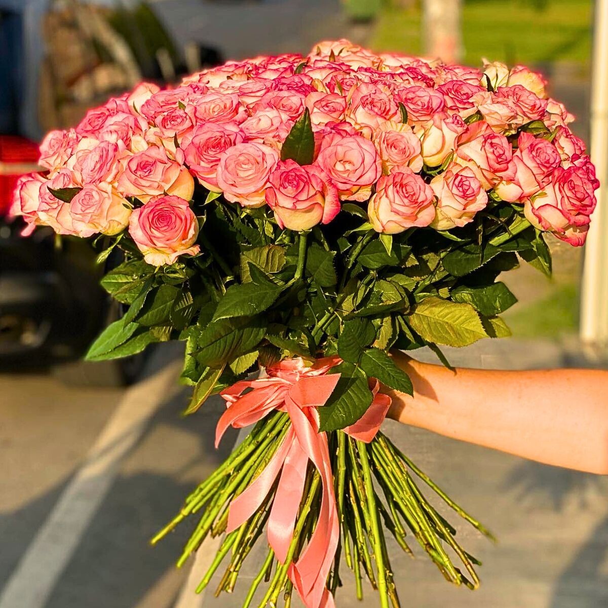 Фото peach flowers