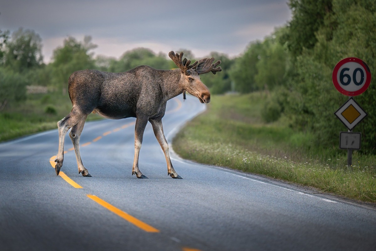    Фото с сайта pixabay.com