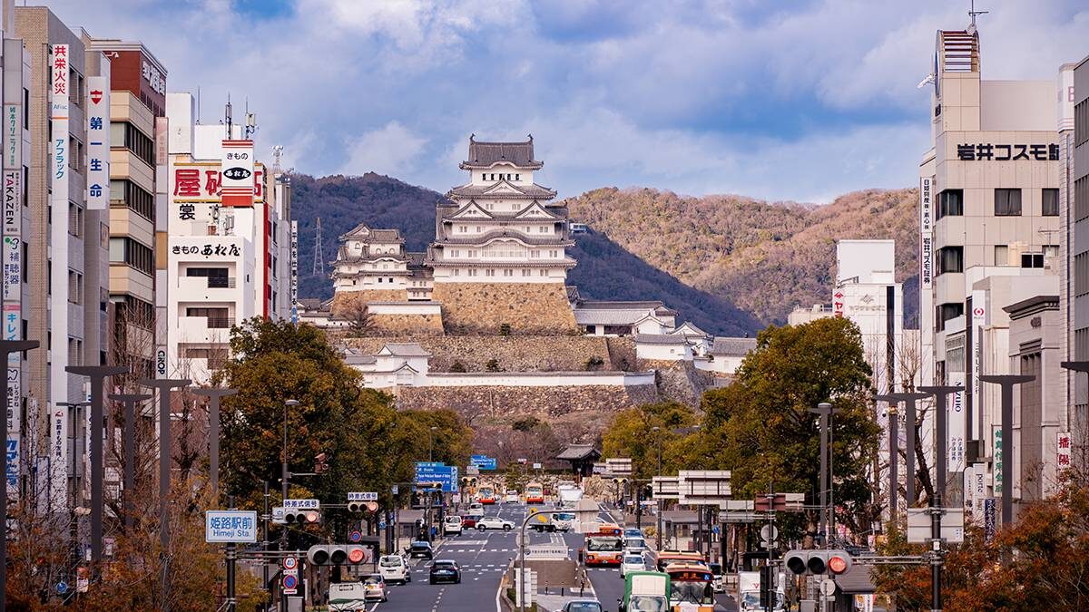    Фото: Shutterstock