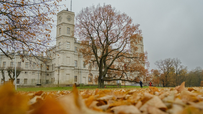 Фото: Гатчинский дворец • музей-заповедник «Гатчина»