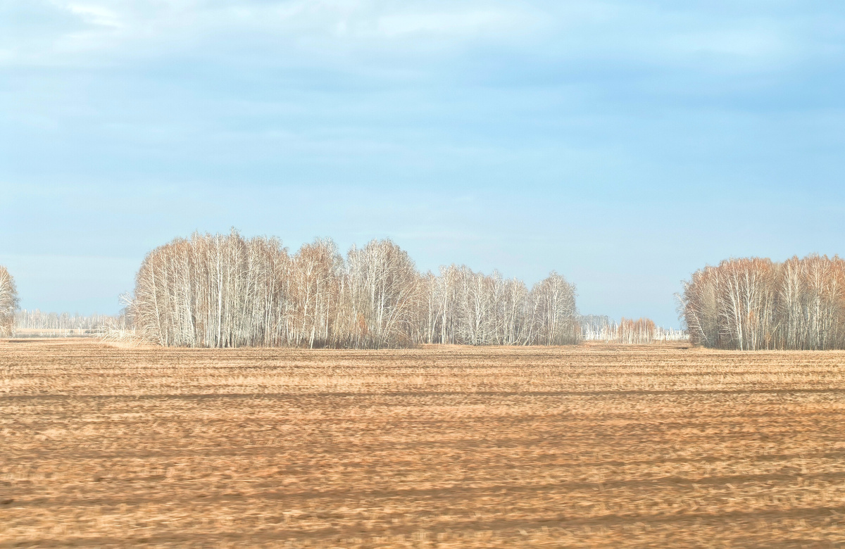 Порой появляются такие завораживающие виды.