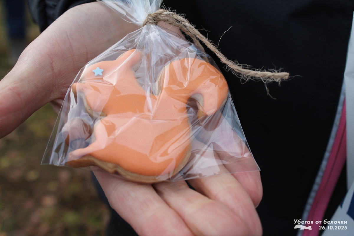 Тот момент, когда можно не накормить, а съесть белочку