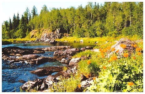 Л. Резников Набор цветных открыток "Игарке 75 лет" Муниципальное бюджетное учреждение культуры "Новосёловский районный исторический музей"