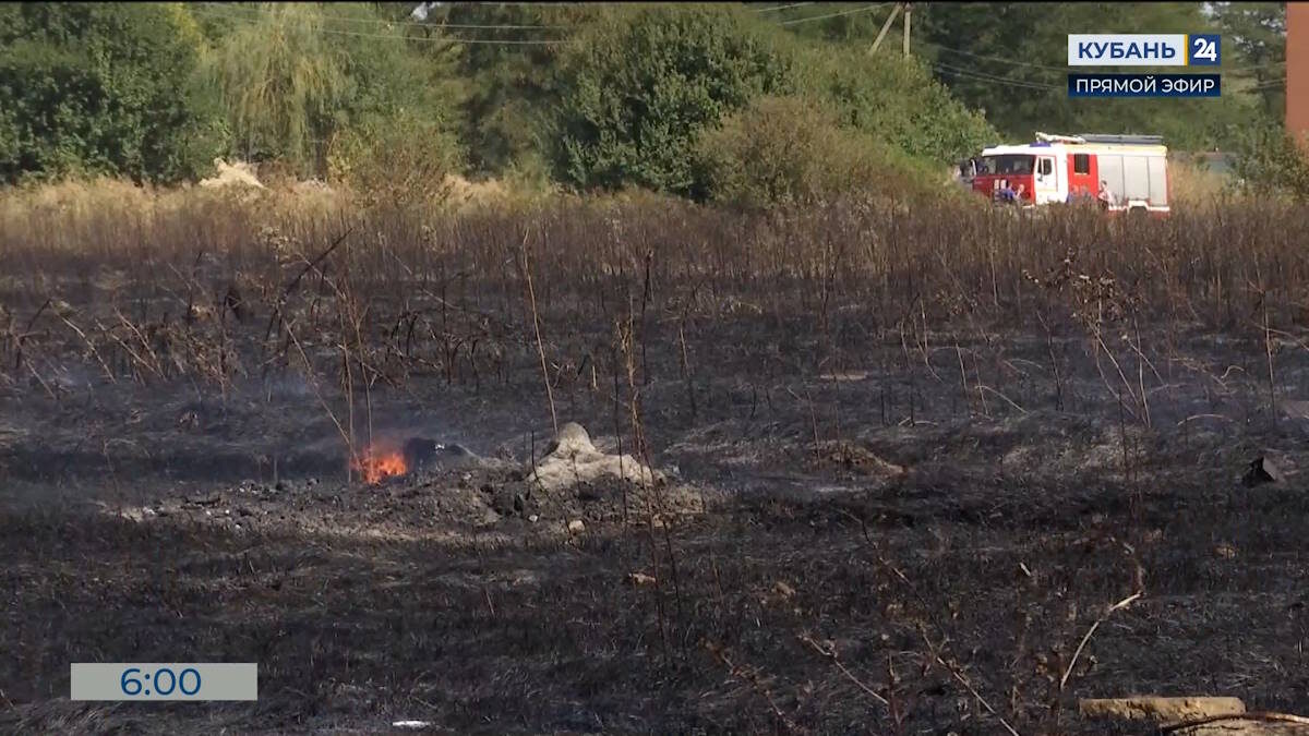    Скриншот видео телеканала «Кубань 24»
