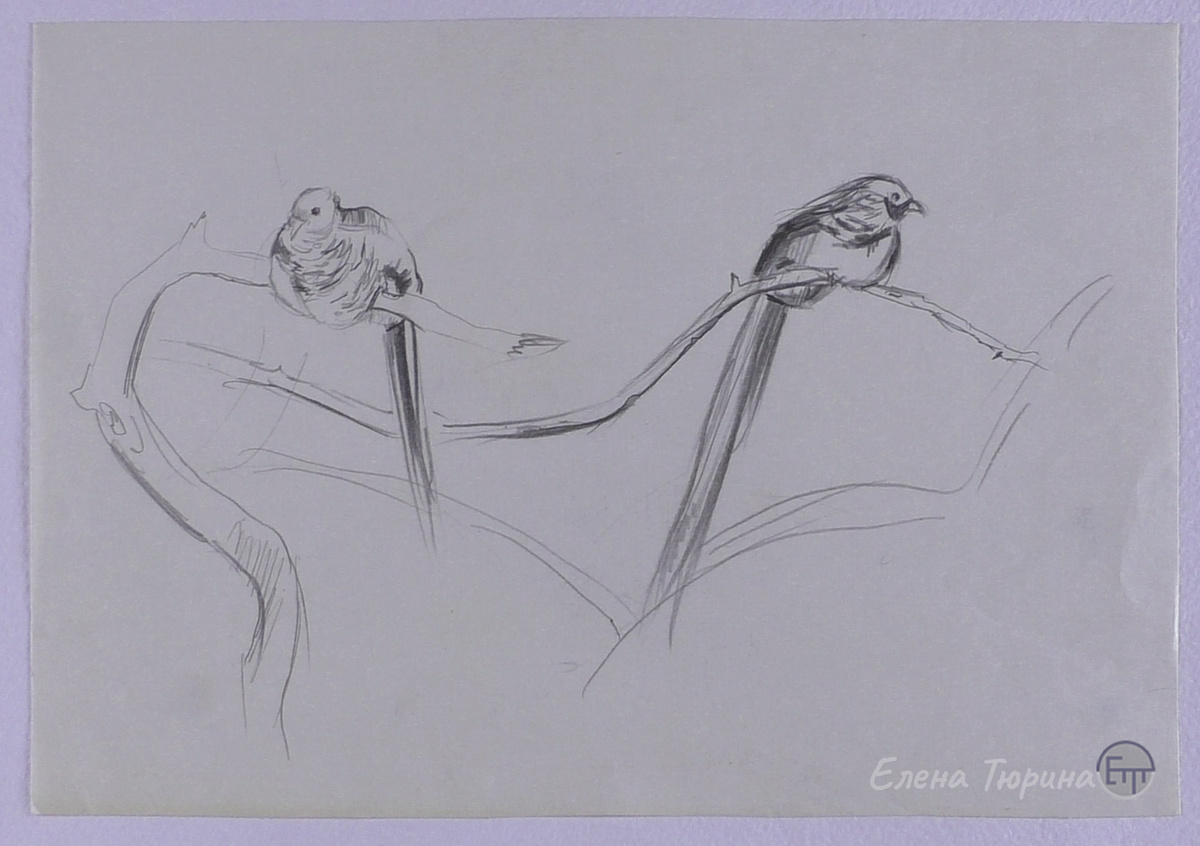 Художник: Елена Тюрина. Фазаны. Зоопарк. г. Казань. 1994 г.