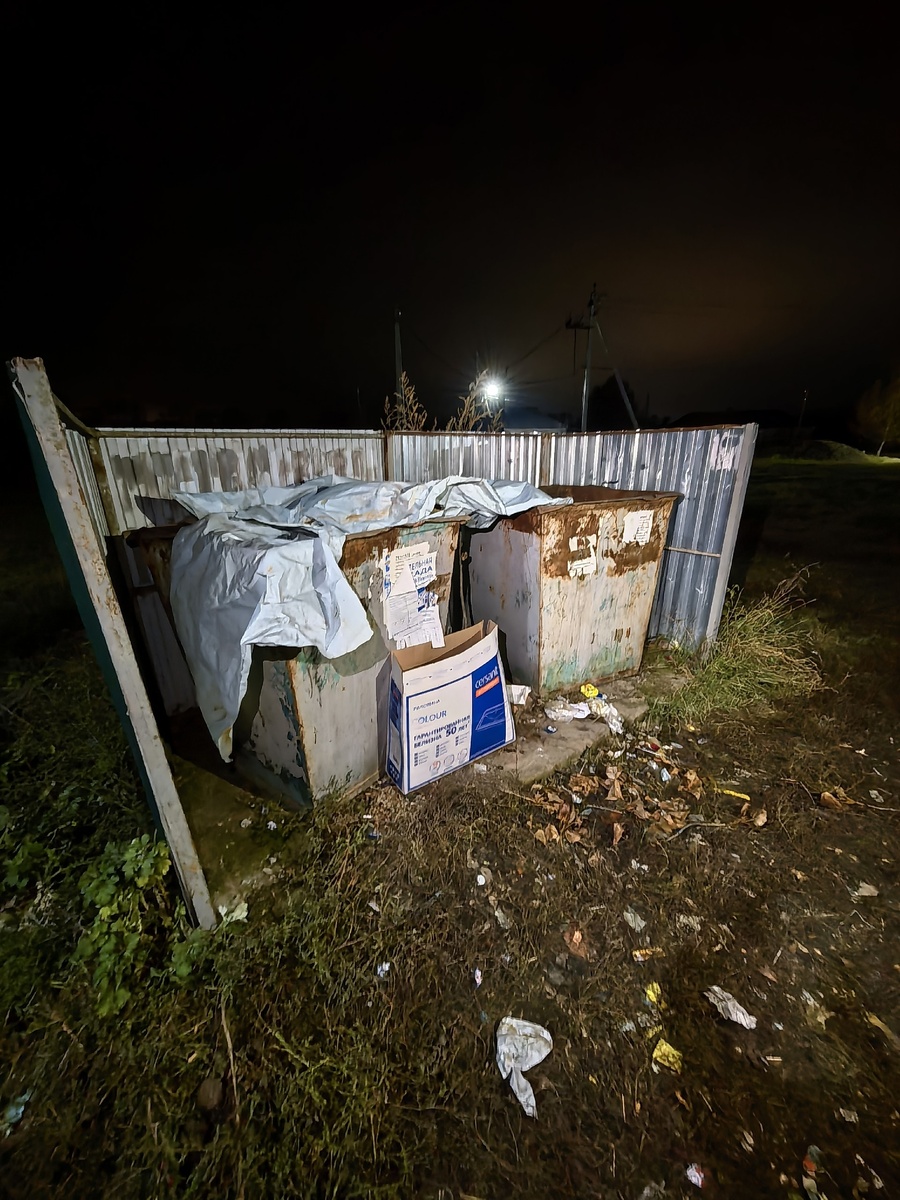 Вот такой нехитрый домик у этой собаки. Фото из архива автора