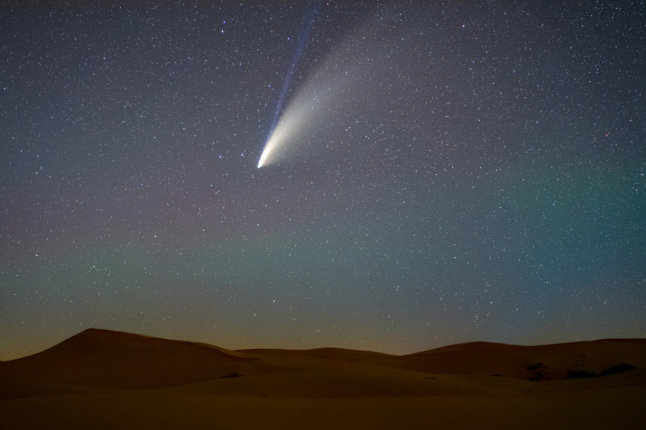    Shutterstock/FOTODOM