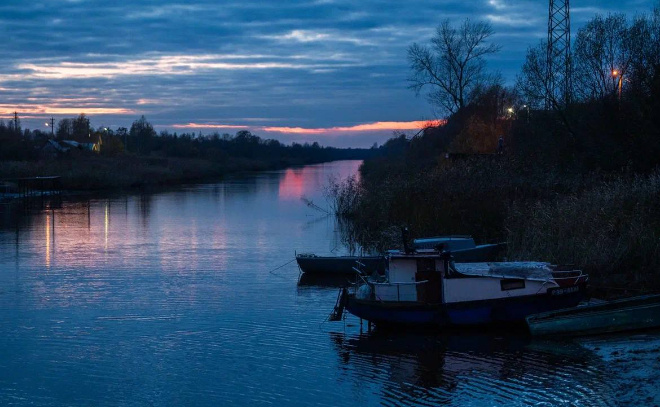    © Telegram / Александр ДроZденко