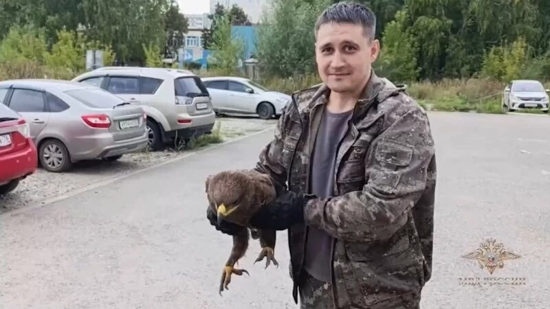     Уникальный орел со своими спасителями Пресс-служба МВД России