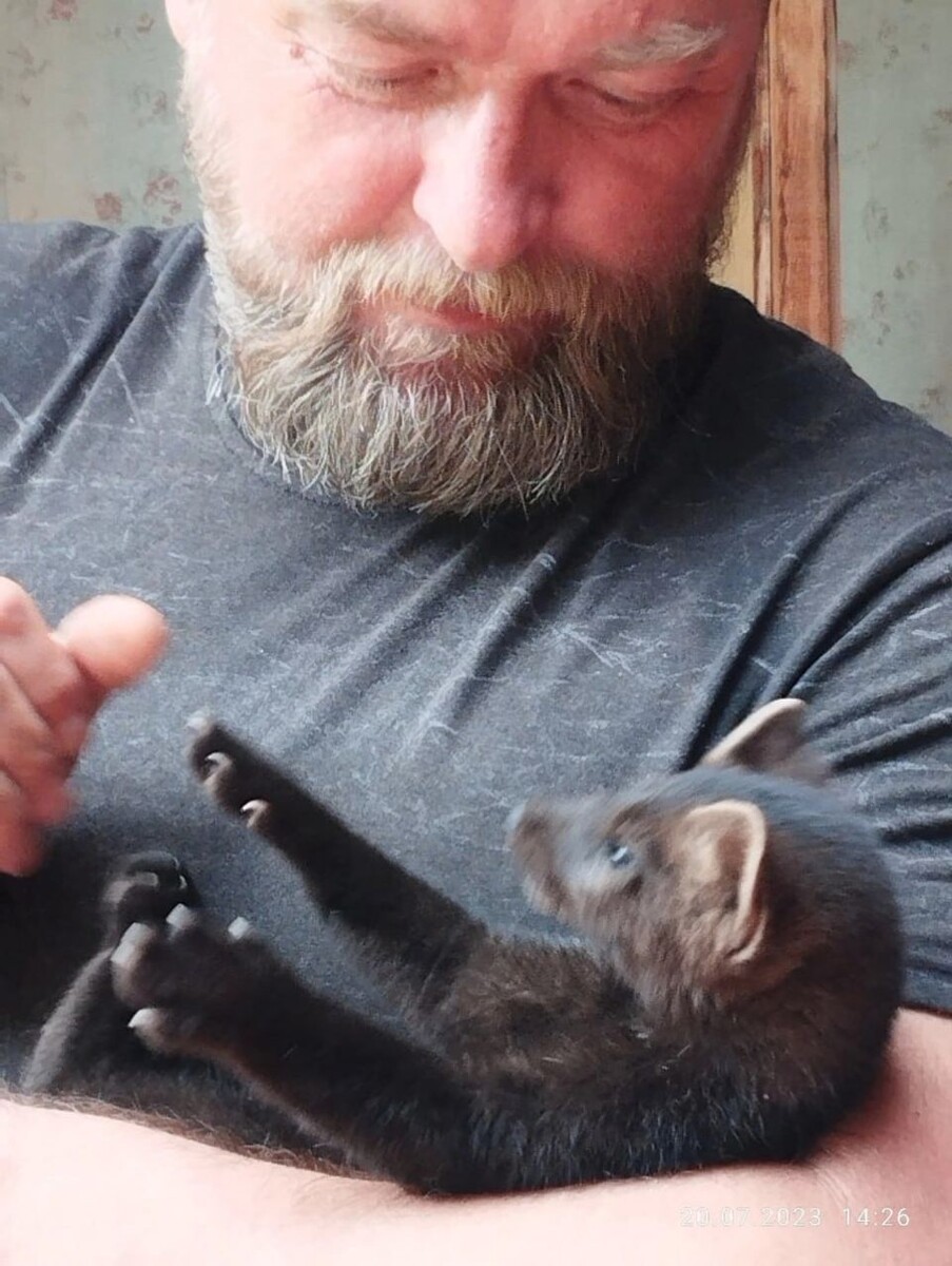    Дружба соболя Хана и госинспектора Сергея Бакшина. Источник: t.me/altzap