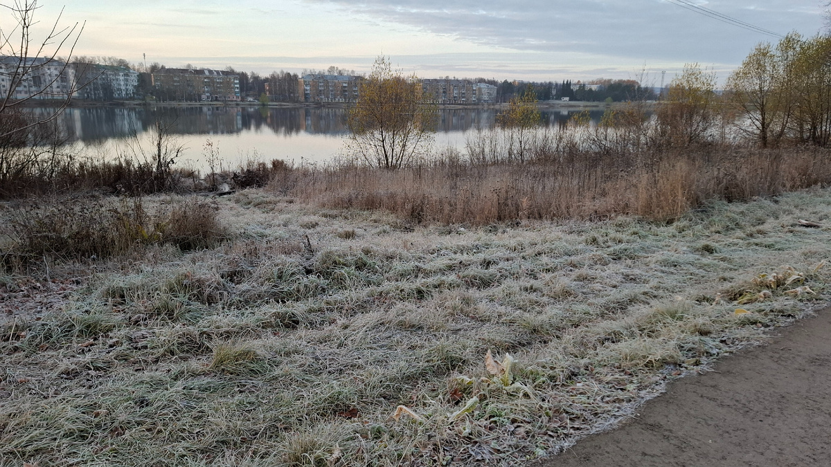 Иду вдоль пруда, трава заиндевела.