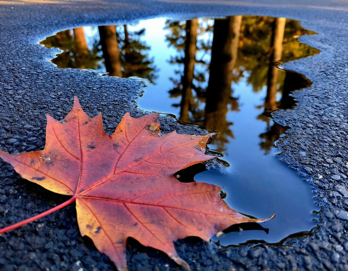 Изображение сгенерировано  ИИ "Шедеврум"
