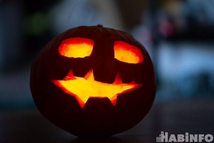    Фото:Ольга Цыкарева