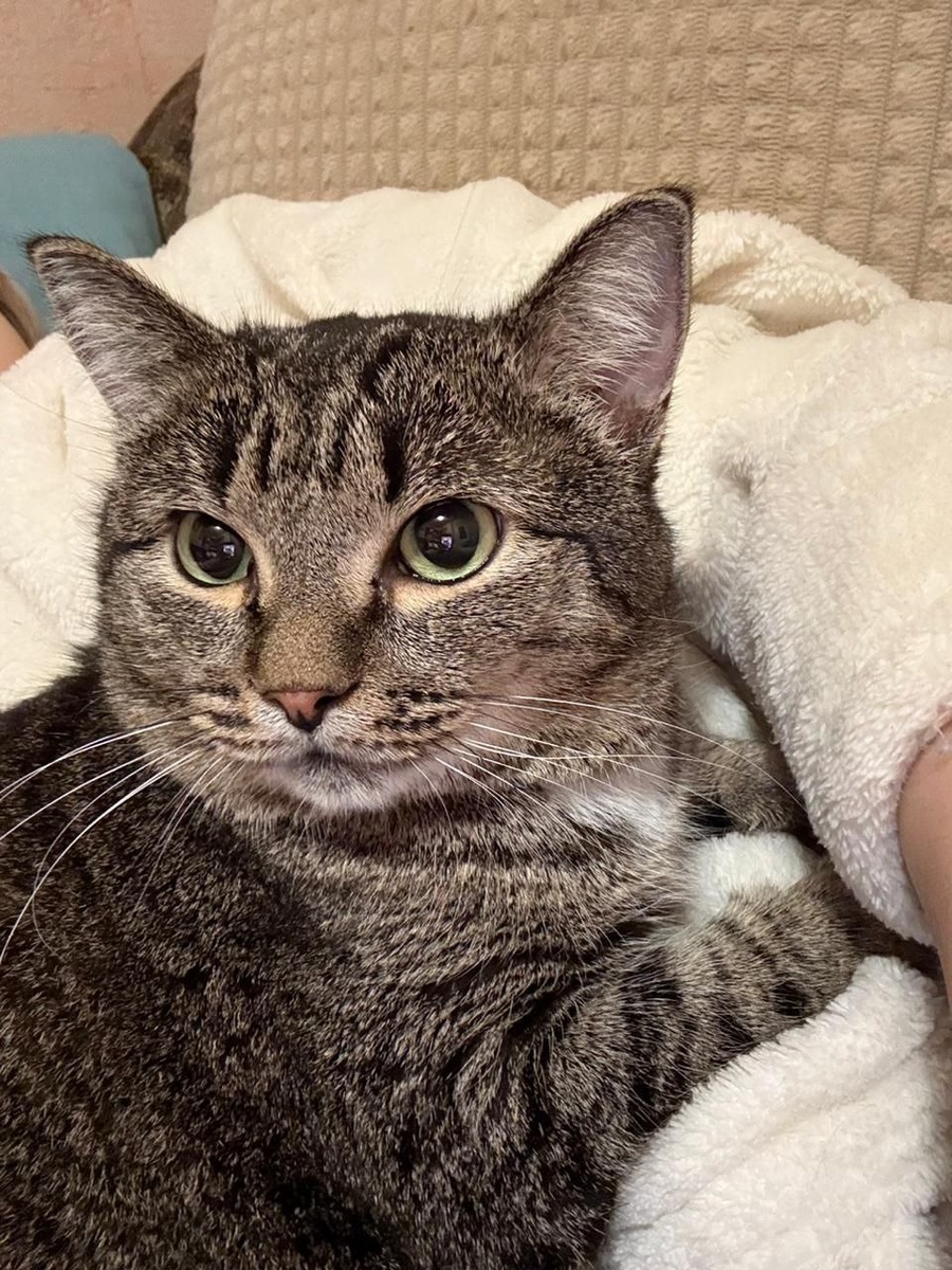 Вот такой красавчик сейчас наш Варфоломей!