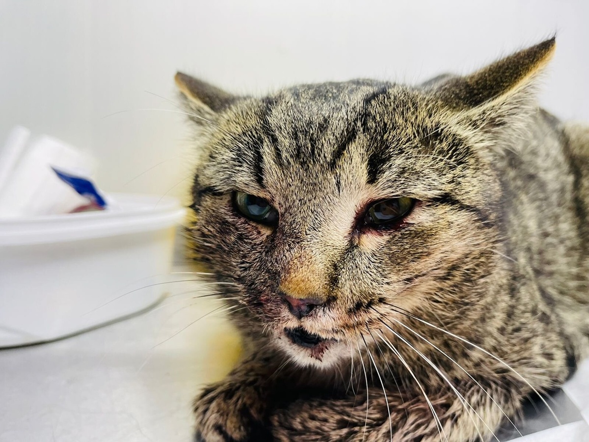 Но было всё в 2024 не так радужно...