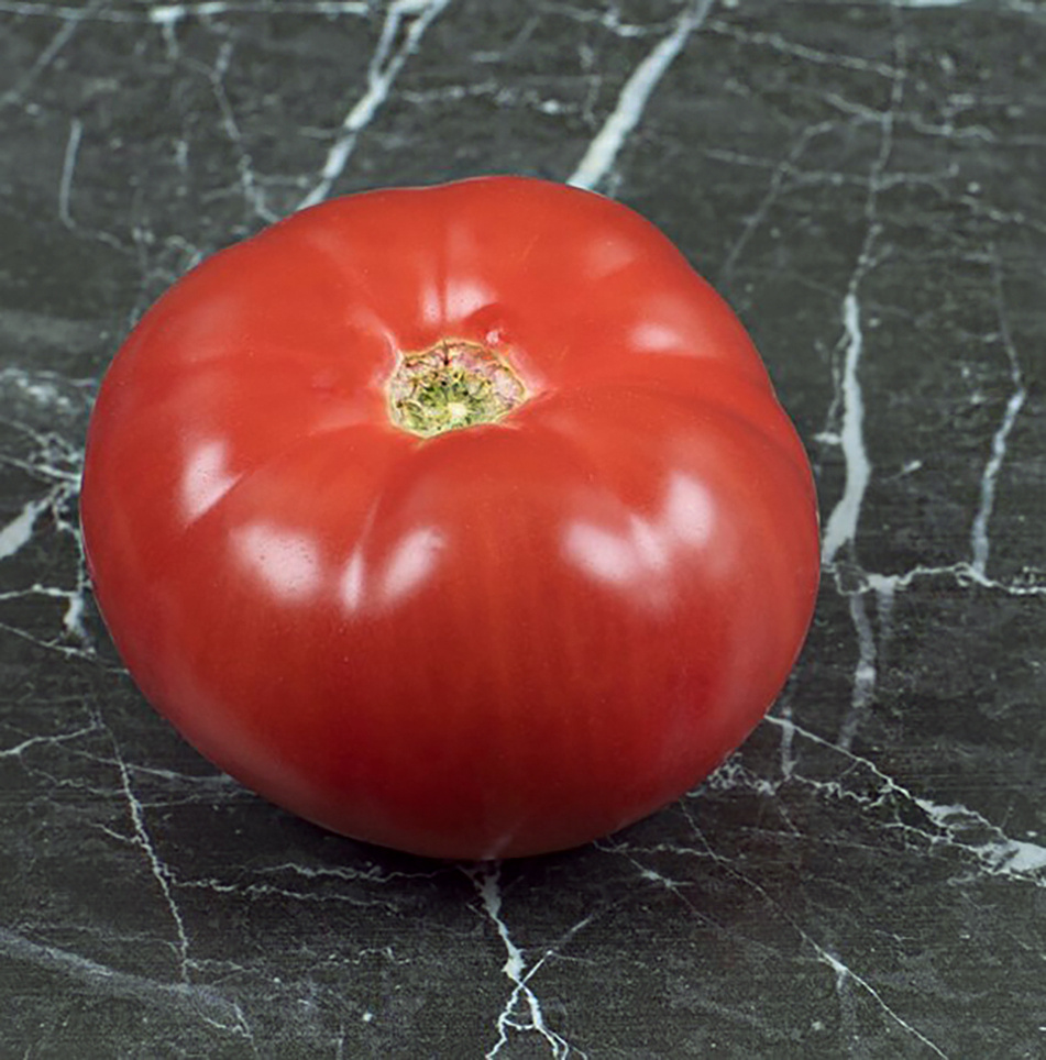 Бердский крупный