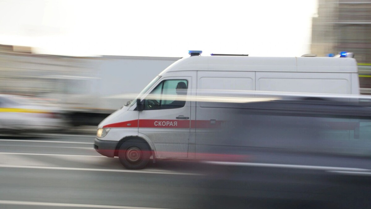    Фото: Artyom Sobolev/Shutterstock/Fotodom