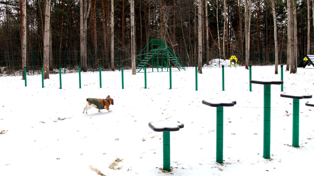    В Сургуте реализовали 11 проектов через инициативное бюджетирование