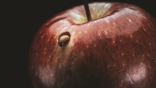 "Вы грозны на словах — попробуйте на деле!"(с) Фото: fotoblur.ru
