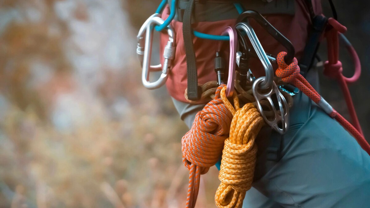    Фото: africa_pink/Shutterstock/Fotodom