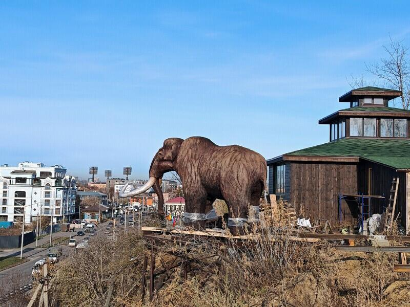 © Фото: vk.com/zoogallery_irkutsk