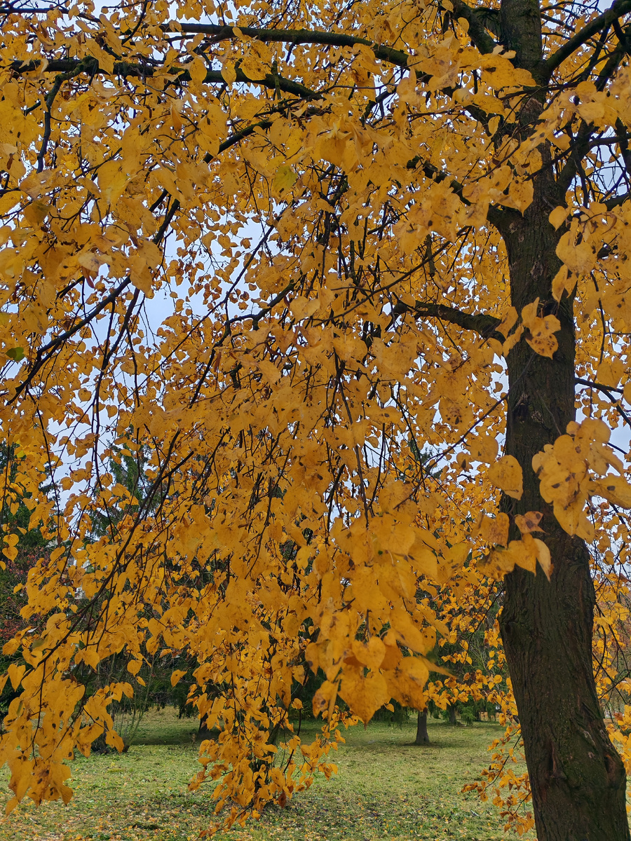 Будьте счастливы! 