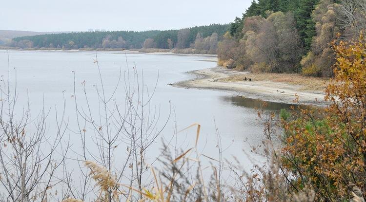 Белгородское водохранилище Фото: Вадим Заблоцкий (архив)