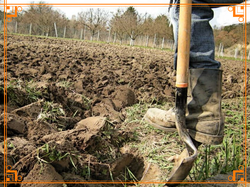 Фото из Интернета. Что делать на огороде в ноябре