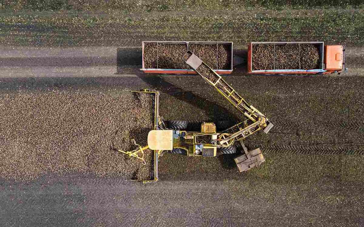    Заводы ГК «Продимекс» суммарно выпустили полумиллионную тонну сахара из свеклы нового урожая Фото – ГК «Продимекс»