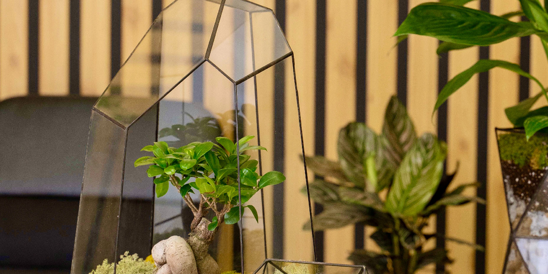 Срочно ставим растение! Почему вашему офису нужно озеленение уже сегодня