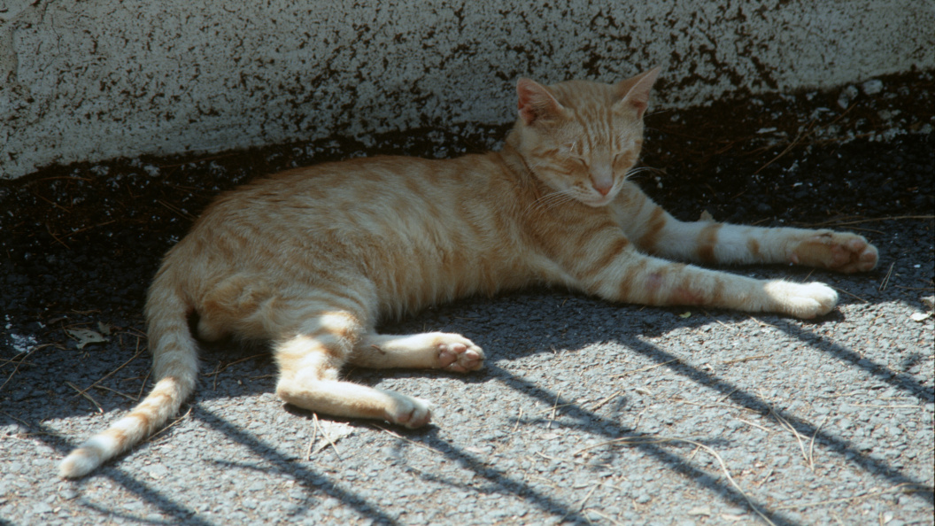    Vadim Nekrasov/Globallookpress